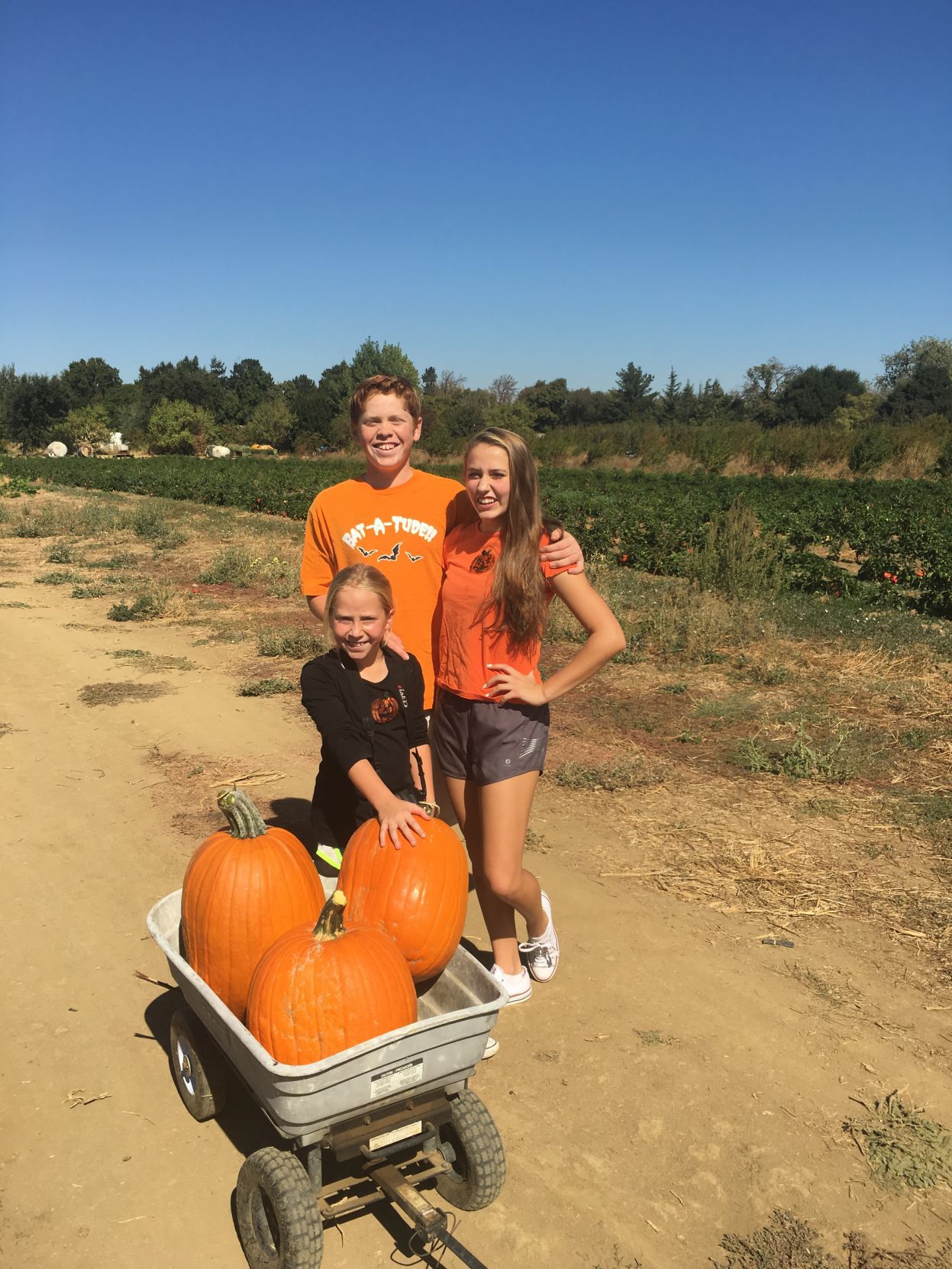 From Our Readers: Picking Pumpkins